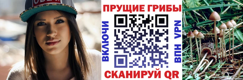 Псилоцибиновые грибы Magic Shrooms  Комсомольск 